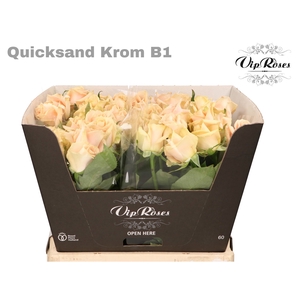 R GR QUICKSAND KROM B1