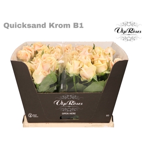 R Gr Quicksand Krom B1