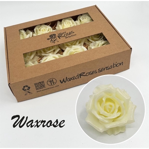 Zijde R Wx Creme