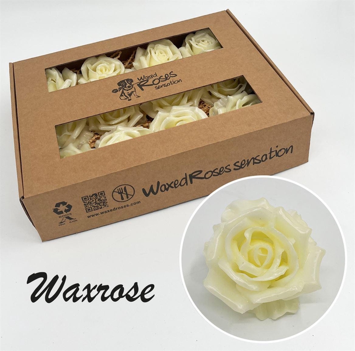 <h4>Zijde R Wx Creme</h4>