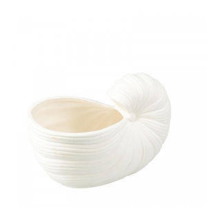 Maritime Ceramics pl.shell 19*11*12.5cm