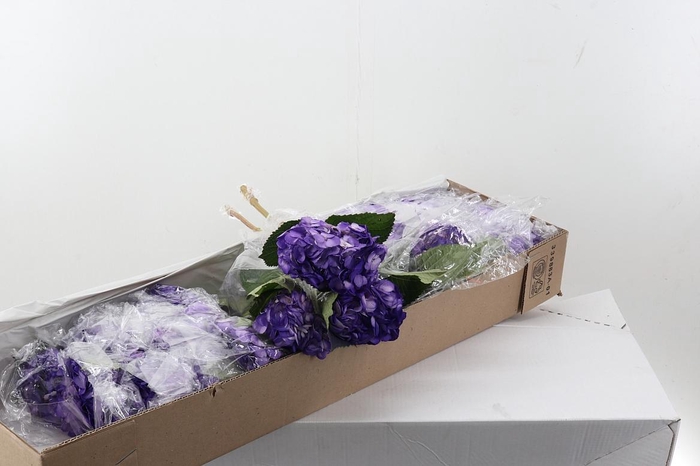 <h4>Hydr Purple Tinted Box</h4>