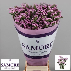 Lim S Rosella Sun Birds