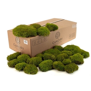 Mood Moss Gepreserveerd Bulk Ca. 0,8 M2