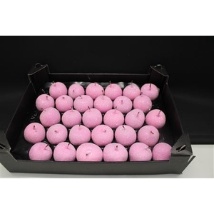 Waxappel Glitter Pink