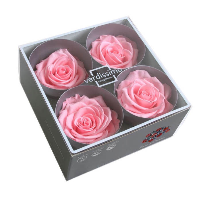 Roos Premium Roze