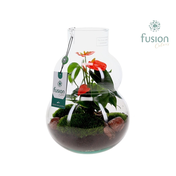 <h4>Green Bottle Olaf Medium met Anthurium</h4>