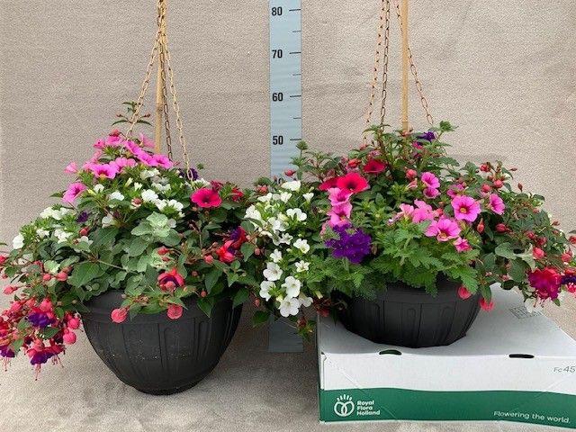 <h4>Hangingbasket XXL</h4>