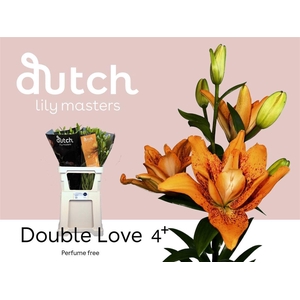 Li La Double Love