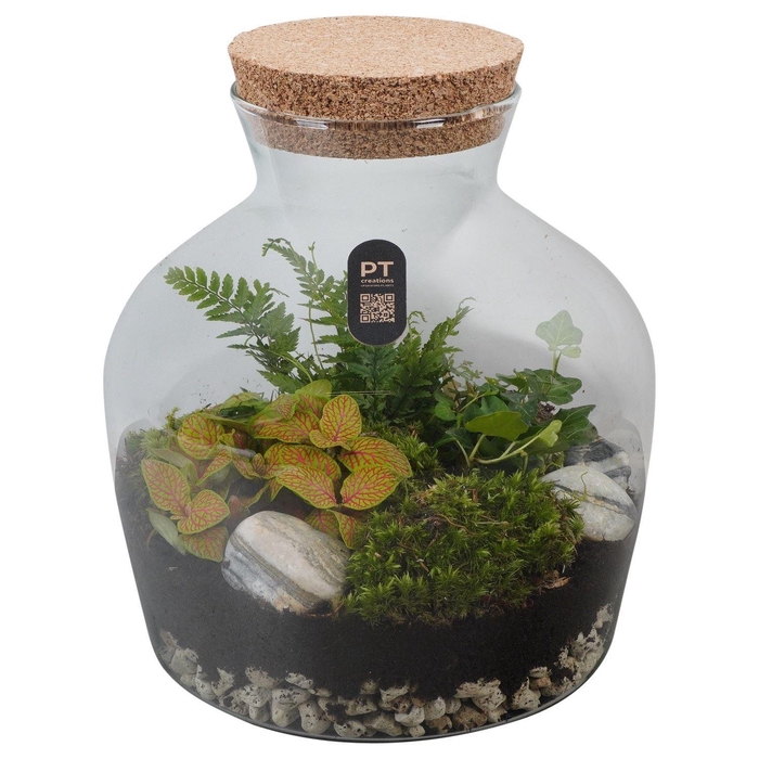 <h4>Arr.   Kamerplant Groen H%</h4>