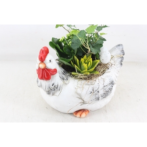 arr2 MB - Ker. kip L x2