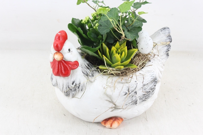 <h4>arr2 MB - Ker. kip L x2</h4>