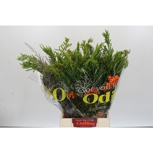 BQ Cape Greenmix