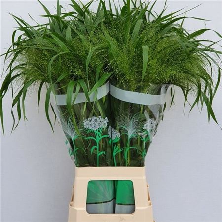 <h4>Panic Vi Fontaine 75 Cm</h4>