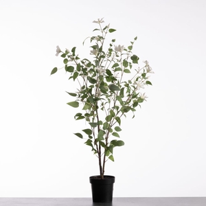 AF Clematis pot H144cm White