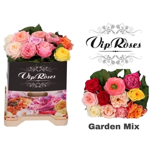 R GR GARDEN MIX