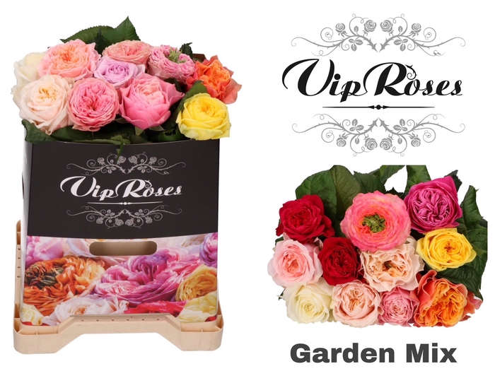 R GR GARDEN MIX