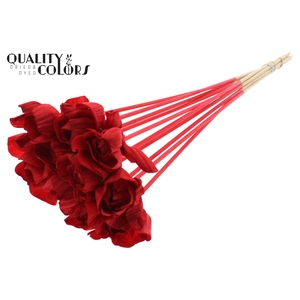 Shola Dear Holly 6cm on stem Red