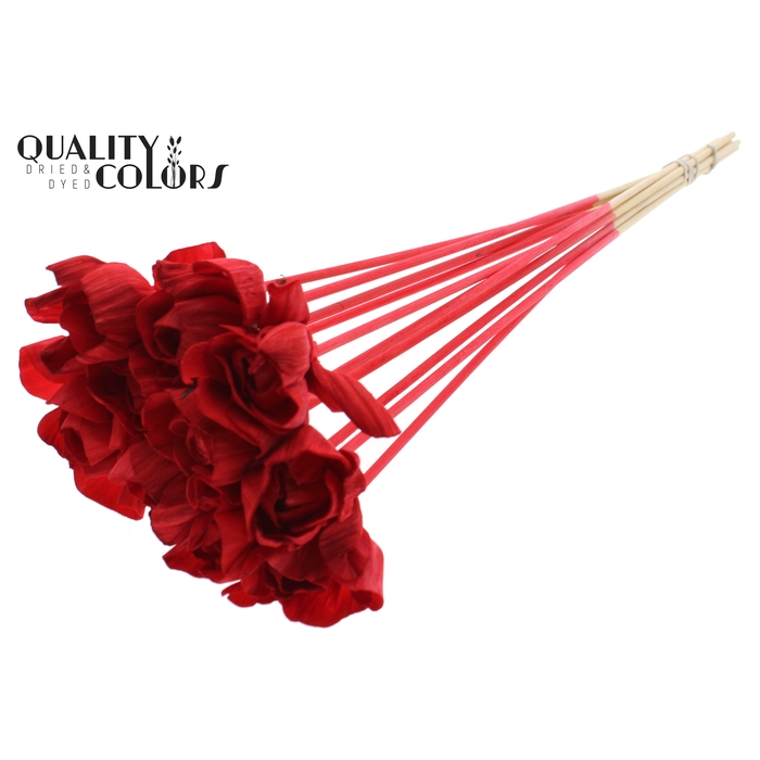 <h4>Shola Dear Holly 6cm on stem Red</h4>