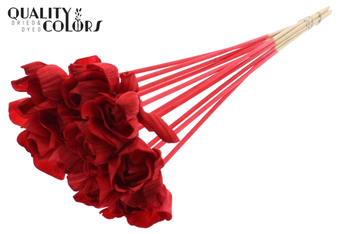 Shola Dear Holly 6cm on stem Red