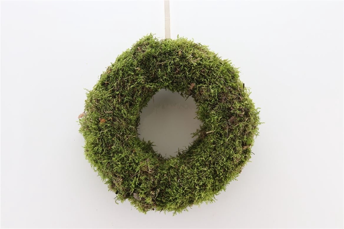 <h4>Wr Moss 30cm Natural</h4>