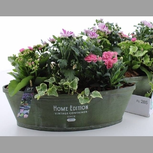 ARR TUINPLANTEN