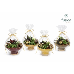 Keramiek schaal Medium met Kerst arrangement