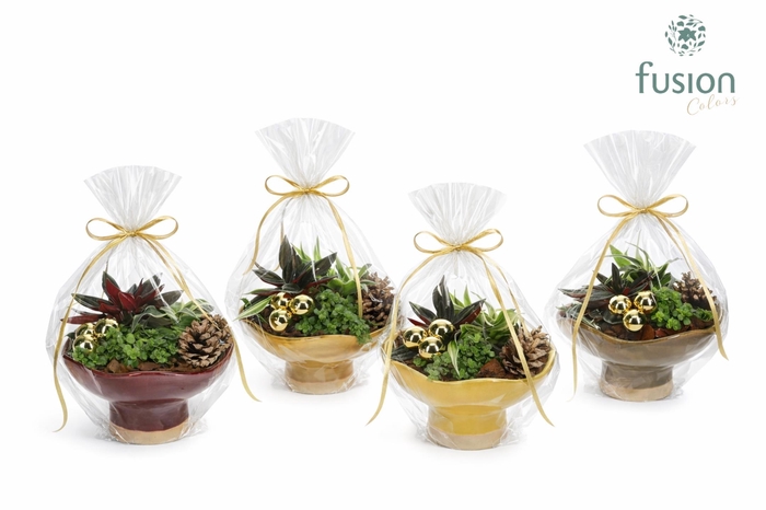 <h4>Keramiek schaal Medium met Kerst arrangement</h4>