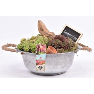 Zink schaal met touw 23cm