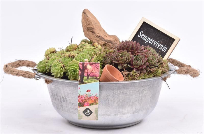 <h4>Zink schaal met touw 23cm</h4>