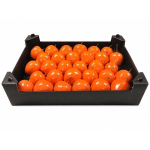 WAX APPEL H%
