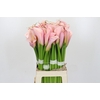 Zantedeschia Eydolls Pink