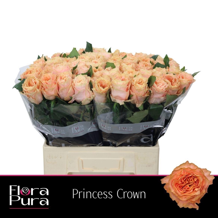 <h4>R GR PRINCESS CROWN</h4>