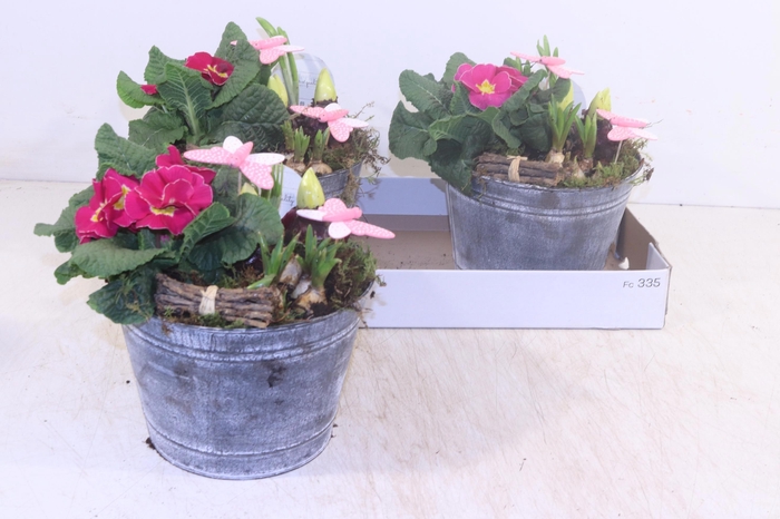 <h4>ARR TUINPLANTEN</h4>