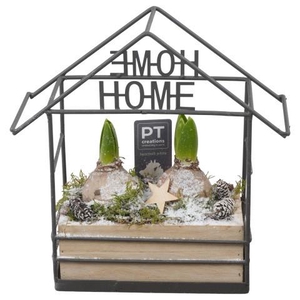 PTWH7733 Arrangement Winter Hyacint in houten huis met metaal
