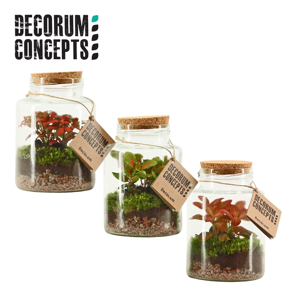 <h4>Terrarium Neptunus (Decorum concepts)</h4>