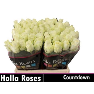 R GR COUNTDOWN!
