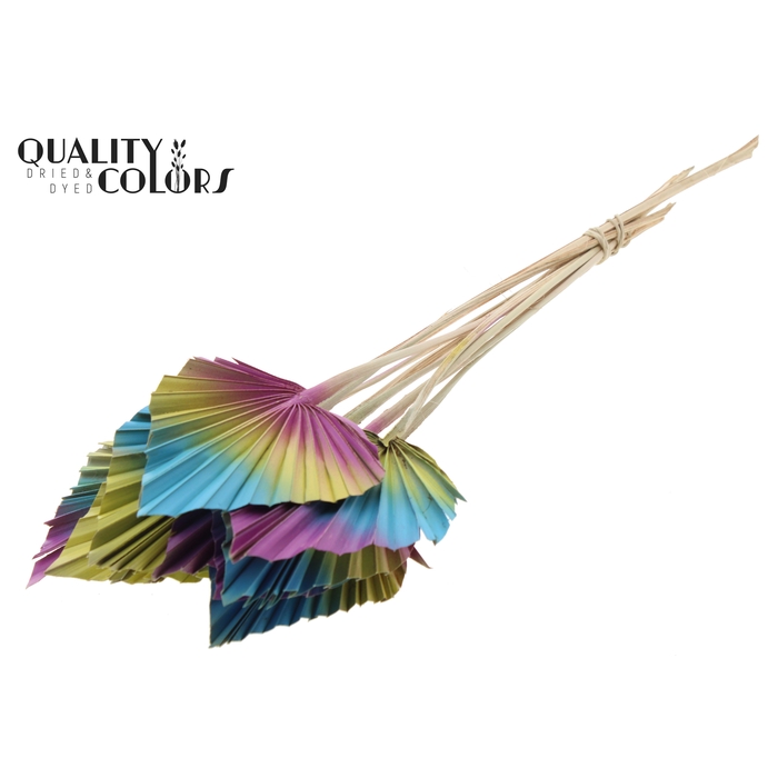 <h4>Palm Spear per stem Ibiza</h4>