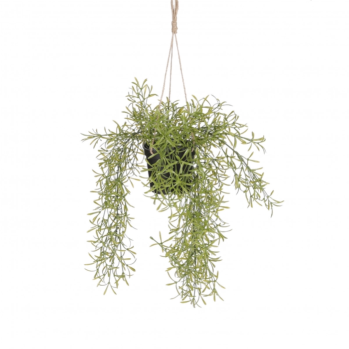 <h4>Artificial plants Hanging Rhipsalis d20*40cm</h4>