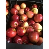 SIERFRUIT MALUS APPELTJES ROOD X8