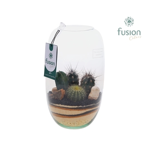 Green Bottle Isabella Medium met zand Arrangement