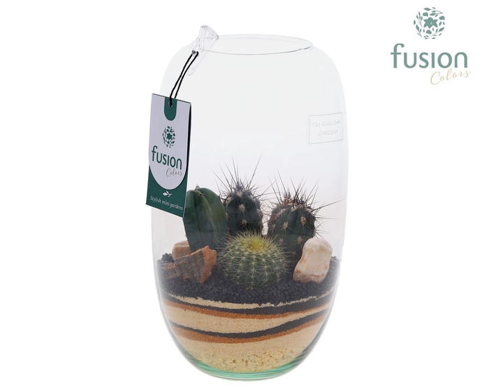 <h4>Green Bottle Isabella Medium met zand Arrangement</h4>