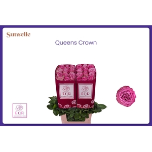R GR QUEENS CROWN