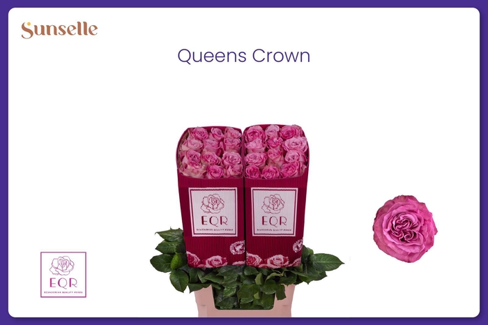 <h4>R GR QUEENS CROWN</h4>