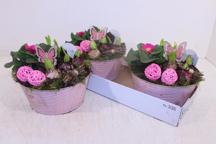 <h4>ARR TUINPLANTEN</h4>