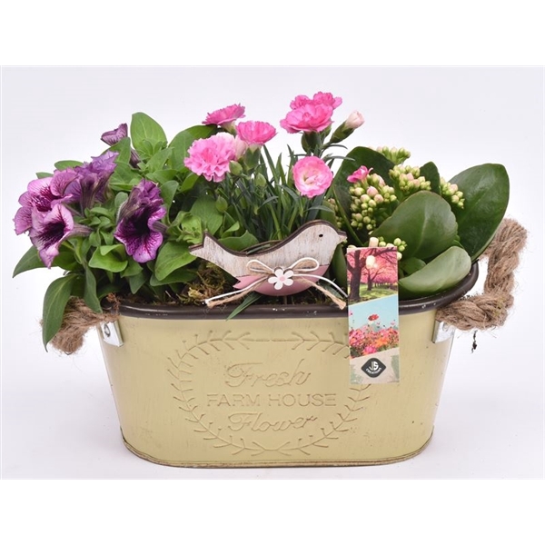 <h4>Zink ovaal met touw oor 26x12.5cm</h4>