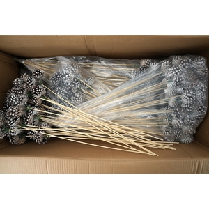 Pick pinecone 3x3,5cm+50cm stick tipped(white tips)