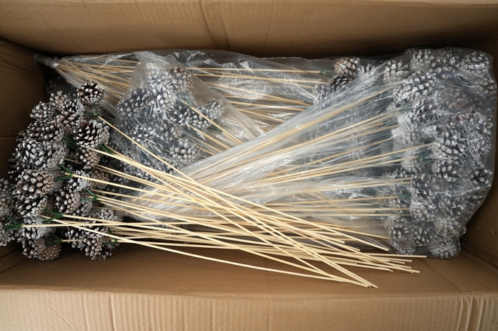 <h4>Pick pinecone 3x3,5cm+50cm stick tipped(white tips)</h4>