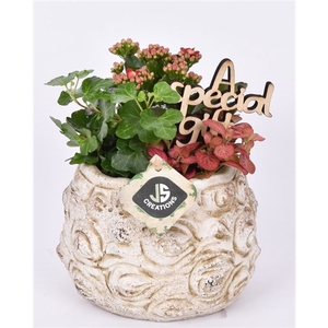 Cement pot bloemdecor 16cm