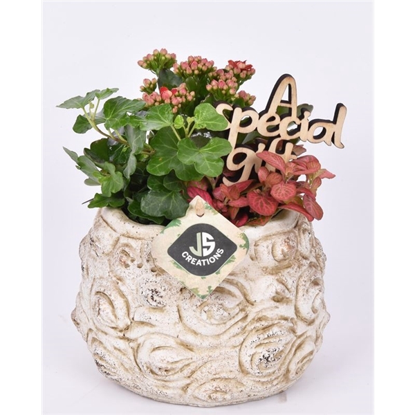 <h4>Cement pot bloemdecor 16cm</h4>